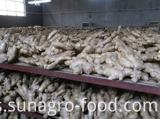 Organic Air Dried Ginger